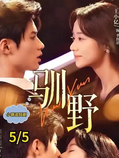 繁花2 剧集 2025 王家卫